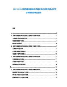 2025-2030陜西秦始皇陵兵馬俑文物古跡保護技術研究與發展規劃研究報告