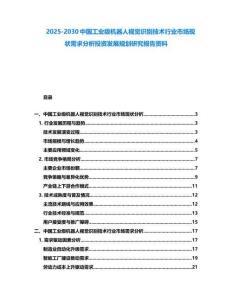 2025-2030中國工業(yè)級機器人視覺識別技術(shù)行業(yè)市場現(xiàn)狀需求分析投資發(fā)展規(guī)劃研究報告資料