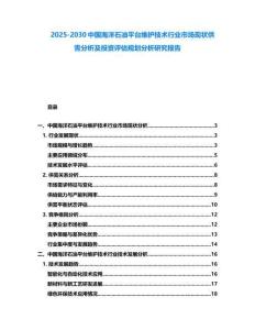 2025-2030中國海洋石油平臺維護技術行業市場現狀供需分析及投資評估規劃分析研究報告