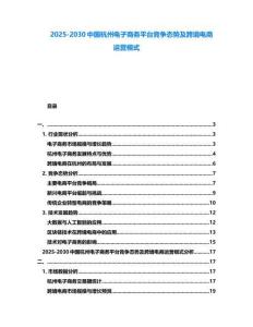 2025-2030中國杭州電子商務平臺競爭態勢及跨境電商運營模式