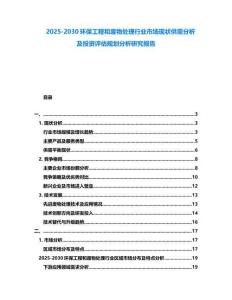 2025-2030環保工程和廢物處理行業市場現狀供需分析及投資評估規劃分析研究報告