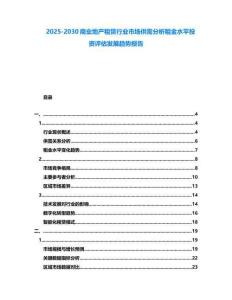 2025-2030商業地產租賃行業市場供需分析租金水平投資評估發展趨勢報告