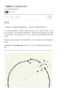 2028年全球情報危機