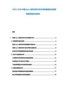 2025-2030中國Spar信標浮標行業市場發展趨勢與前景展望戰略研究報告