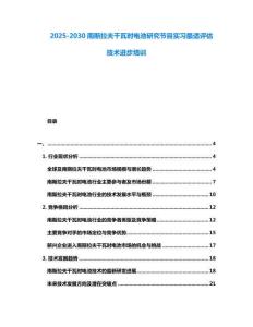 2025-2030南斯拉夫千瓦時電池研究節目實習最適評估技術進步培訓