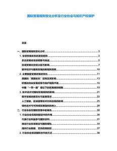 國際貿易規則變化分析及行業協會與知識產權保護