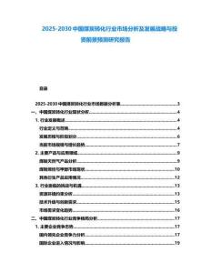 2025-2030中國煤炭轉(zhuǎn)化行業(yè)市場分析及發(fā)展戰(zhàn)略與投資前景預(yù)測研究報告
