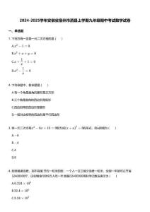 2024-2025學年安徽省宿州市泗縣上學期九年級期中考試數學試卷