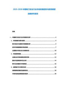 2025-2030中國剃刀安全行業(yè)市場發(fā)展趨勢與前景展望戰(zhàn)略研究報告