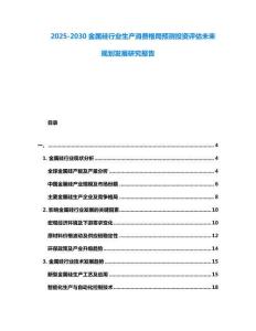 2025-2030金屬硅行業生產消費格局預測投資評估未來規劃發展研究報告