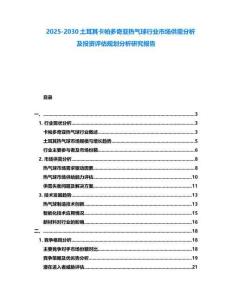 2025-2030土耳其卡帕多奇亞熱氣球行業(yè)市場供需分析及投資評估規(guī)劃分析研究報告