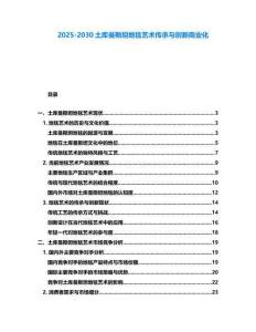 2025-2030土庫(kù)曼斯坦地毯藝術(shù)傳承與創(chuàng)新商業(yè)化