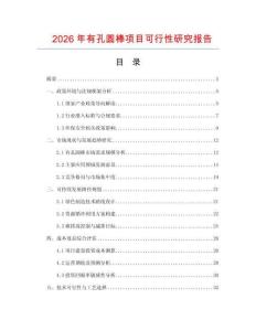 2026年有孔圓棒項(xiàng)目可行性研究報(bào)告