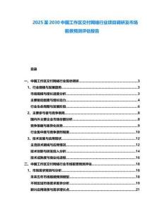 2025至2030中國工作區交付網絡行業項目調研及市場前景預測評估報告