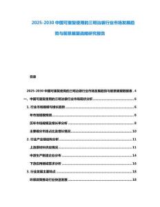 2025-2030中國可重復使用的三明治袋行業市場發展趨勢與前景展望戰略研究報告