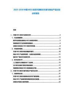 2025-2030中國MES系統開源解決方案與商業產品比較分析報告