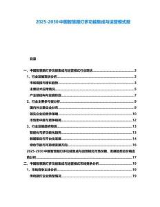 2025-2030中國智慧路燈多功能集成與運營模式報