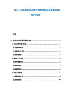 2025-2030南亞汽車改裝件市場供需態(tài)勢及投資價值戰(zhàn)略分析報告