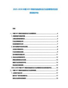 2025-2030中國NFV網絡功能虛擬化行業部署現狀及投資回報評估