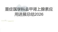 重癥醫(yī)學(xué)科去甲腎上腺素應(yīng)用進(jìn)展總結(jié)2026