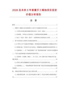2026及未來5年香薰手工蠟燭項(xiàng)目投資價(jià)值分析報(bào)告