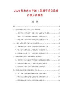 2026及未來5年短T型扳手項目投資價值分析報告