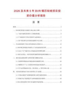 2026及未來5年BVR銅芯軟線項目投資價值分析報告