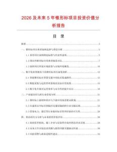 2026及未來5年錐形標項目投資價值分析報告