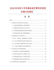 2026及未來5年雙端金鹵燈管項(xiàng)目投資價(jià)值分析報(bào)告