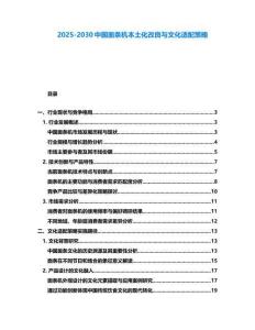 2025-2030中國面條機本土化改良與文化適配策略