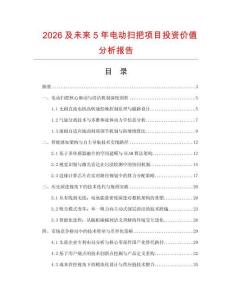 2026及未來5年電動(dòng)掃把項(xiàng)目投資價(jià)值分析報(bào)告