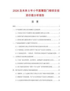 2026及未來5年小平面薄型門鎖項目投資價值分析報告