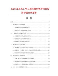 2026及未來5年兄弟傳真機色帶項目投資價值分析報告