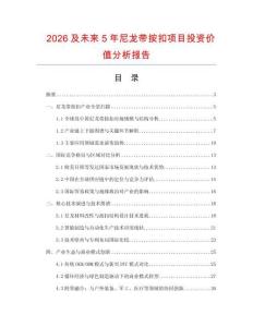 2026及未來5年尼龍帶按扣項目投資價值分析報告