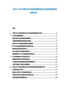 2025-2030中國MES系統在鋼鐵冶金行業能效管理中的應用分析