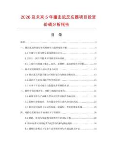2026及未來5年撞擊流反應器項目投資價值分析報告