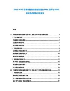 2025-2030中國倉儲物流設備制造業MES系統與WMS系統集成趨勢研究報告
