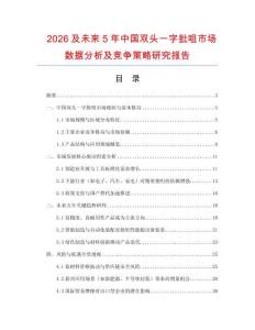 2026及未來5年中國雙頭一字批咀市場數據分析及競爭策略研究報告