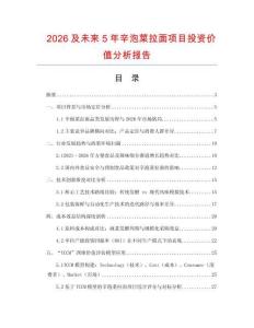 2026及未來5年辛泡菜拉面項(xiàng)目投資價(jià)值分析報(bào)告