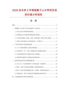2026及未來5年鋼板膩子止水帶項目投資價值分析報告