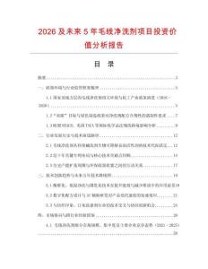2026及未來5年毛線凈洗劑項目投資價值分析報告