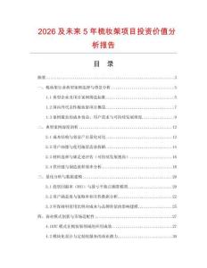 2026及未來5年梳妝架項目投資價值分析報告