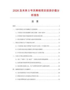 2026及未來5年風箏線項目投資價值分析報告