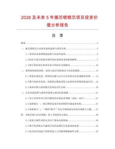 2026及未來5年插芯鎖鎖芯項(xiàng)目投資價(jià)值分析報(bào)告