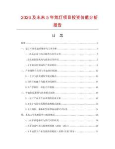 2026及未來5年氚燈項目投資價值分析報告