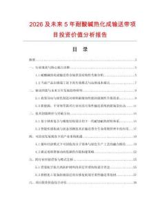 2026及未來5年耐酸堿熱化成輸送帶項(xiàng)目投資價(jià)值分析報(bào)告