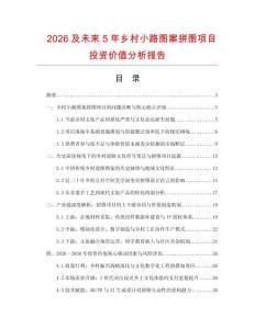 2026及未來5年鄉村小路圖案拼圖項目投資價值分析報告