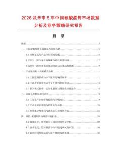 2026及未來(lái)5年中國(guó)碳酸氫鉀市場(chǎng)數(shù)據(jù)分析及競(jìng)爭(zhēng)策略研究報(bào)告