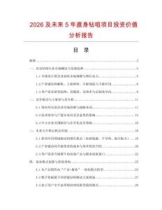 2026及未來5年直身鉆咀項目投資價值分析報告