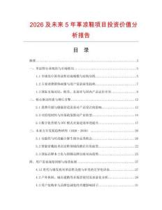 2026及未來(lái)5年革涼鞋項(xiàng)目投資價(jià)值分析報(bào)告